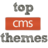 topcmsthemes